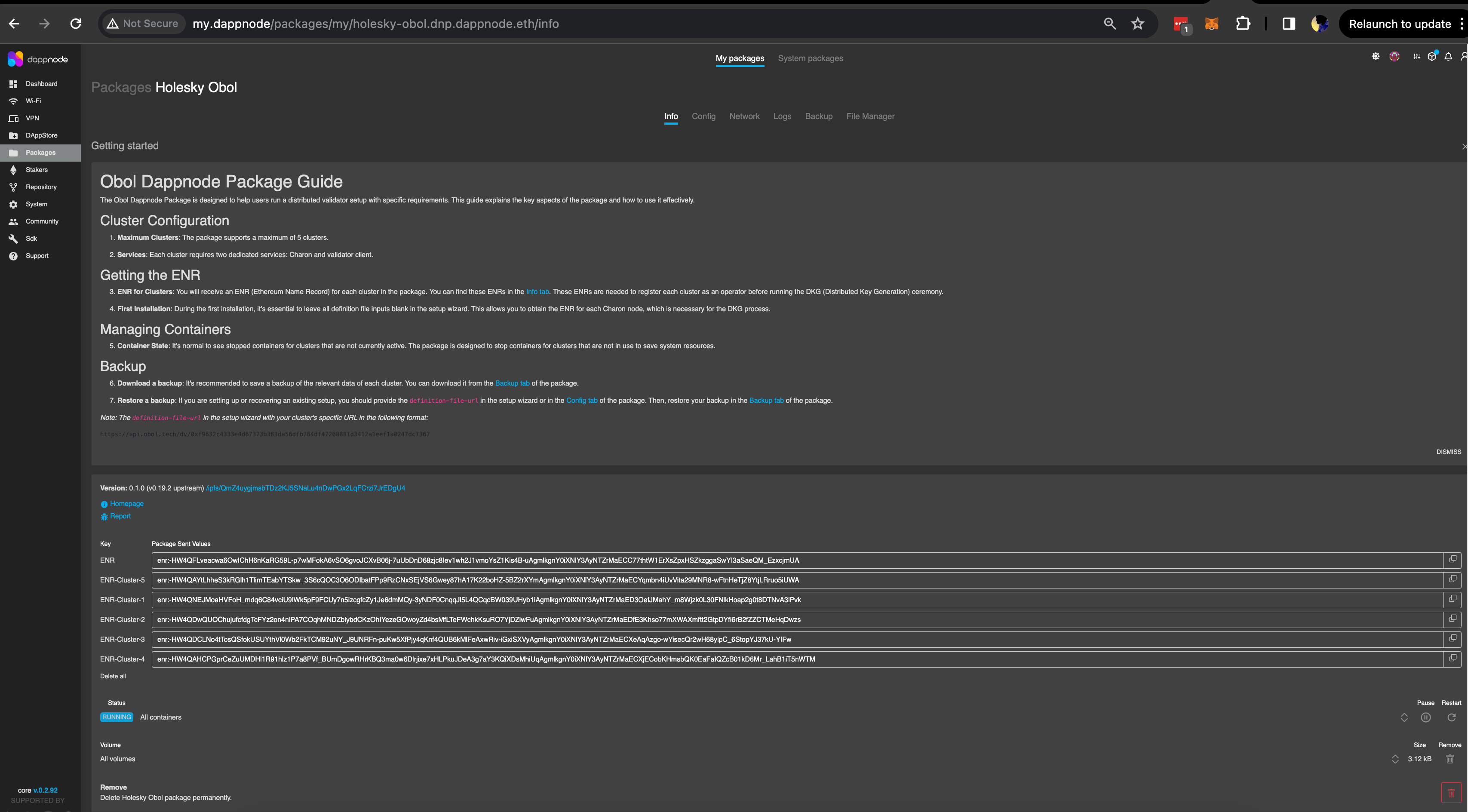 Screenshot: Under the 'Info' tab, you will see pre-generated ENRs, along with information such as the status of all five distributed validator clusters, their docker volumes & other menu…
